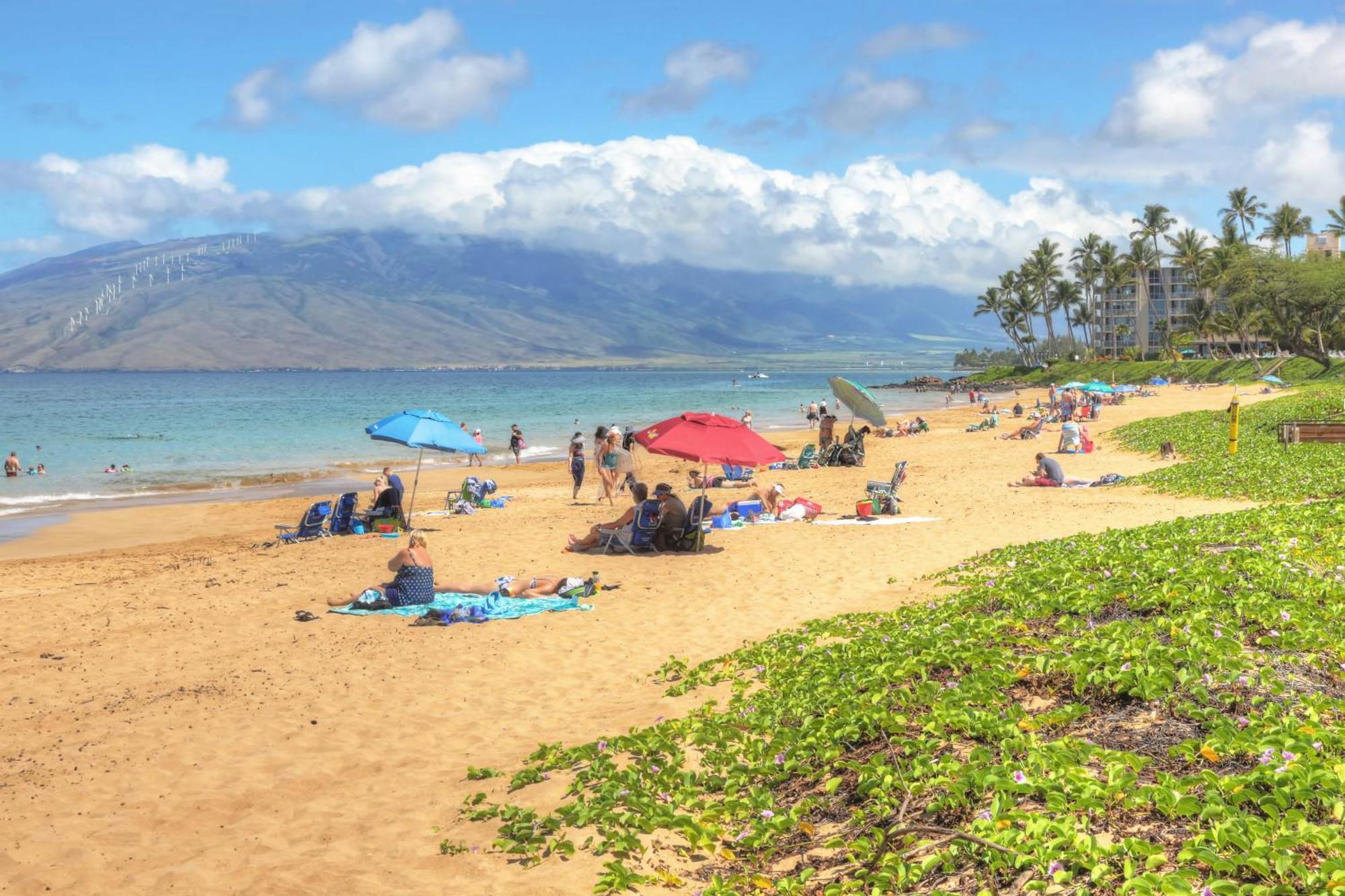 Villa Maui Banyan Wailea  Zimmer foto